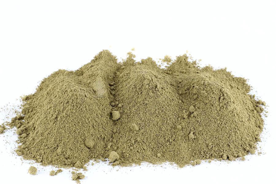 Kelpa pro psy